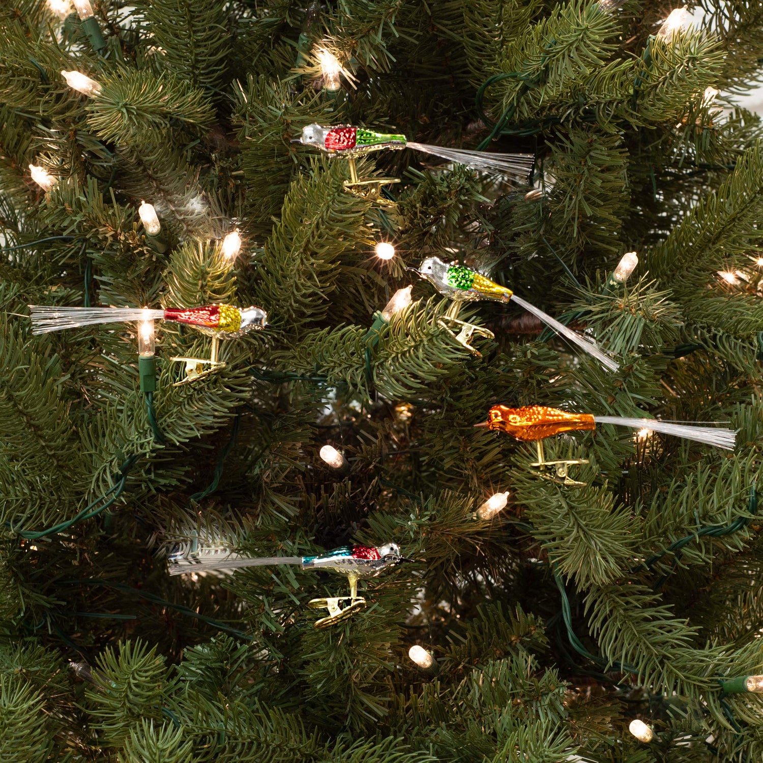Kurt Adler Early Years Glass Clip-On Bird, 4.5-Inch, Set of 5 Ornaments, 5 Count