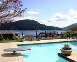 SR Smith 606 Cantilever Diving Stand Spring Assembly