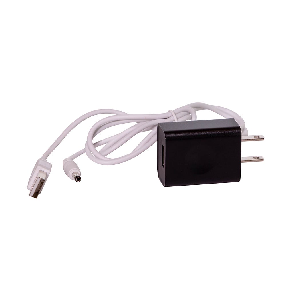 Kurt S. Adler 10.25“ Battery-Operated LED Bird Cage Lantern With Motion