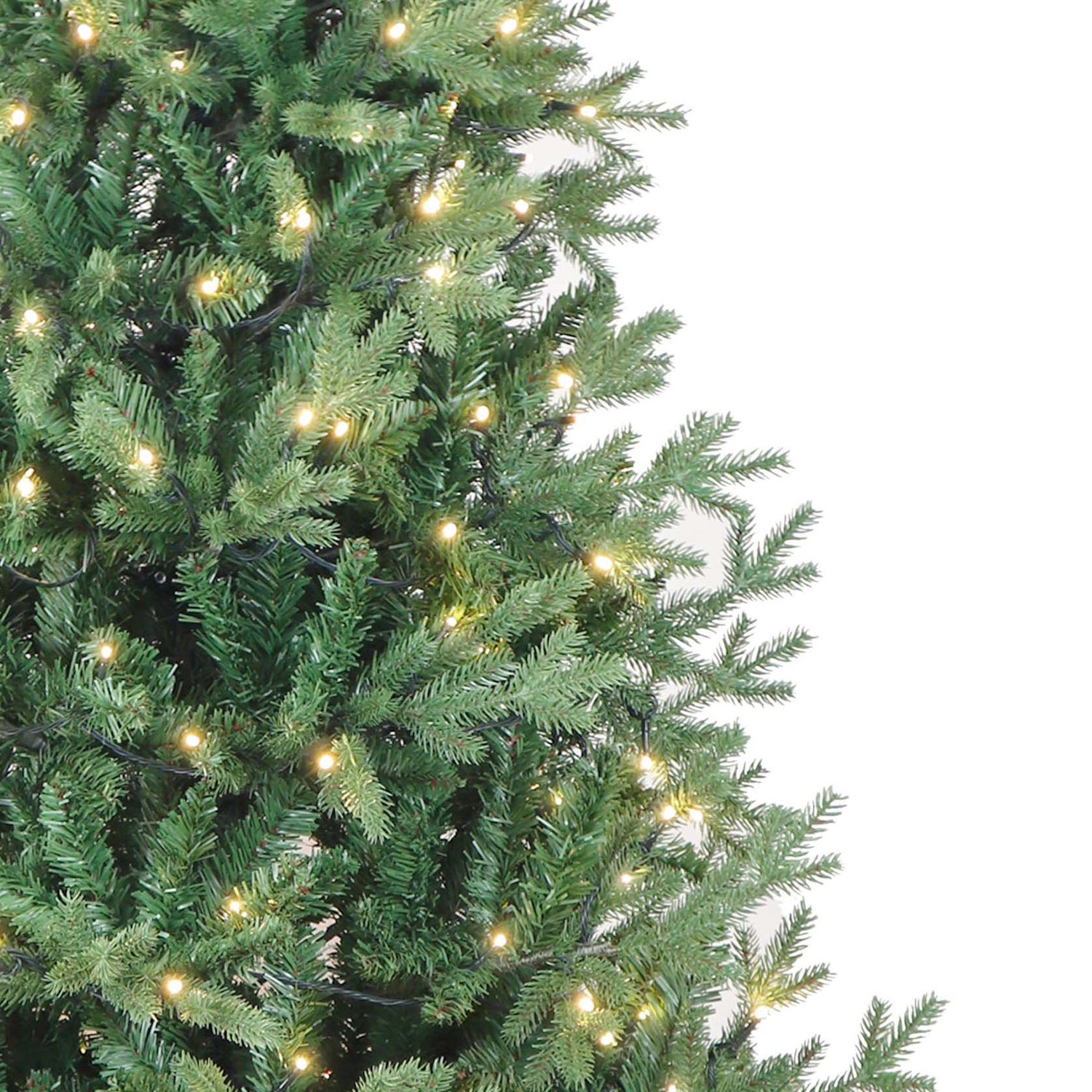 Kurt S. Adler 6' Pre-Lit Warm White LED Jackson Pine Tree