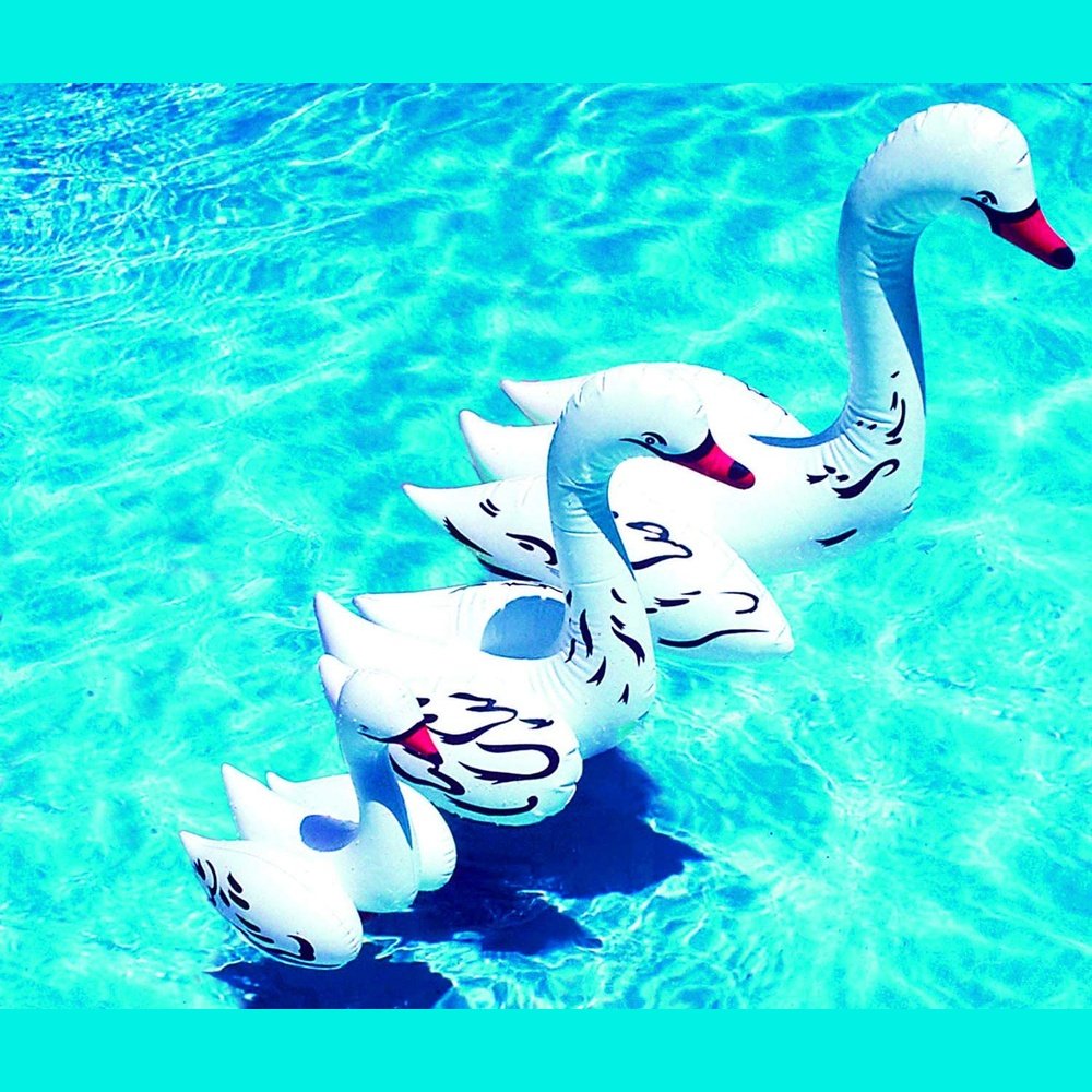 Poolmaster 81432 Floating Swimming Pool Backyard Décor, 28-Inch, Swan
