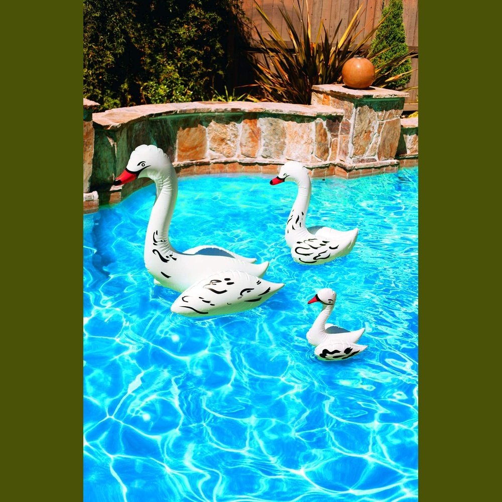 Poolmaster 81432 Floating Swimming Pool Backyard Décor, 28-Inch, Swan