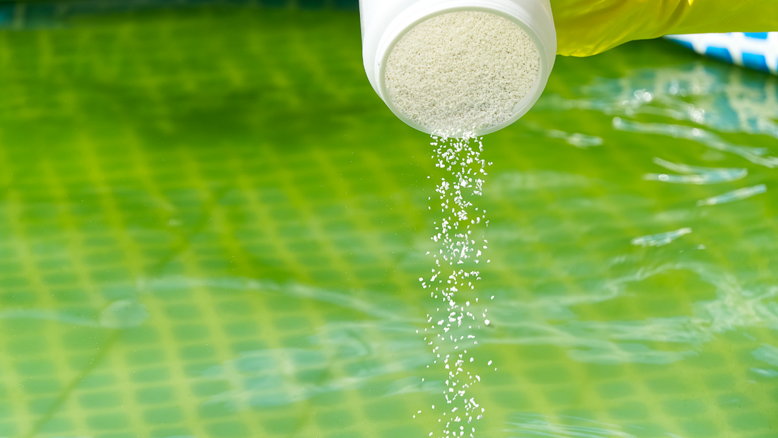 The Simple Guide: To Tackling Algae