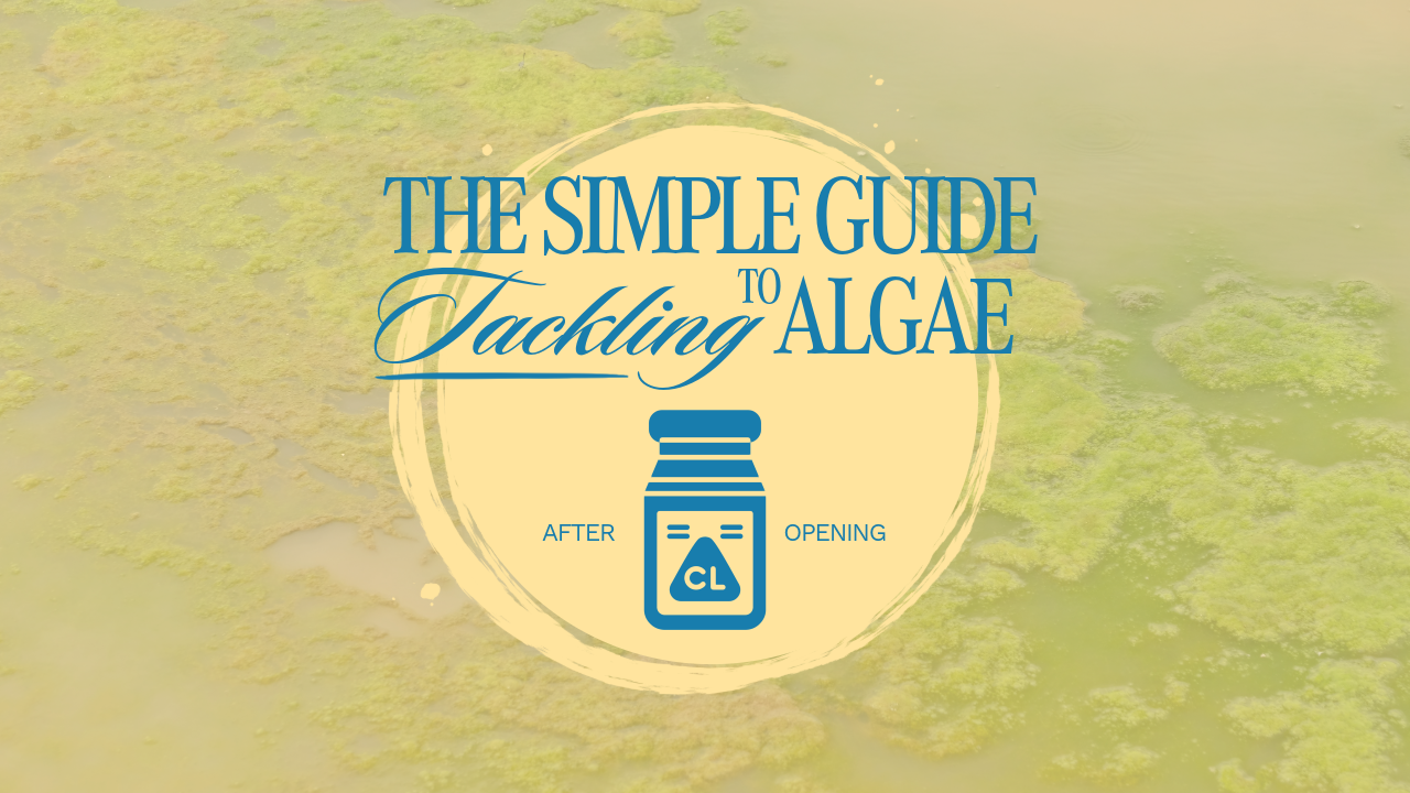 The Simple Guide: To Tackling Algae