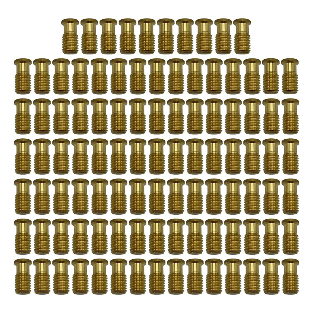 Poolzilla Threaded Brass Screw for Anchor