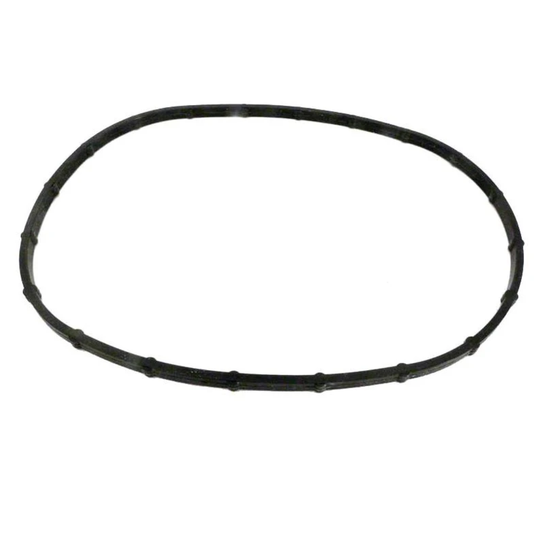 Pentair Gskt Sunsaver Lens | 05101-0002
