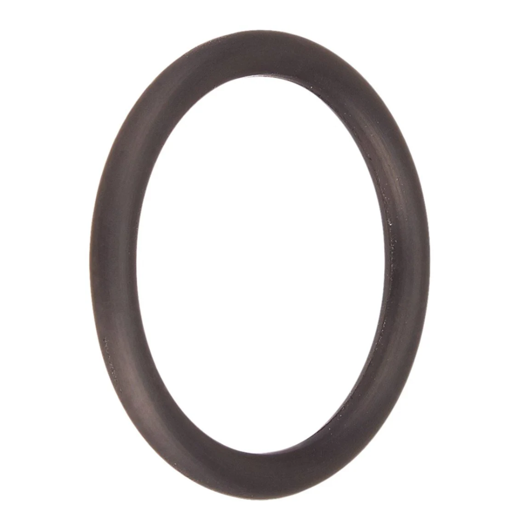 Hayward O-Ring | SX200Z14