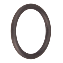 Hayward O-Ring | SX200Z14