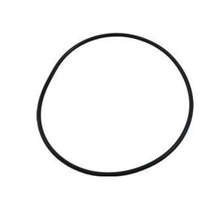 Waterway Plastics 806105129697 Discharge Pool & Spa Pump Volute O Ring Face Plate