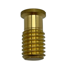 Poolzilla Threaded Brass Screw for Anchor