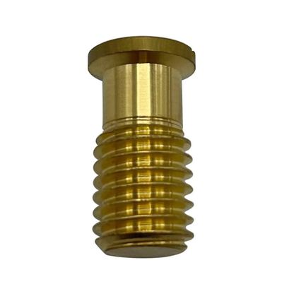 Poolzilla Threaded Brass Screw for Anchor