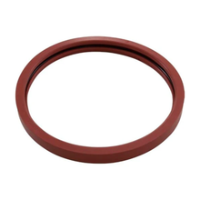Pentair Kit Gasket Lens Silicone 5G Pool | 620400Z