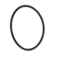 Hayward Gauge Adapter O-Ring | ECX1287