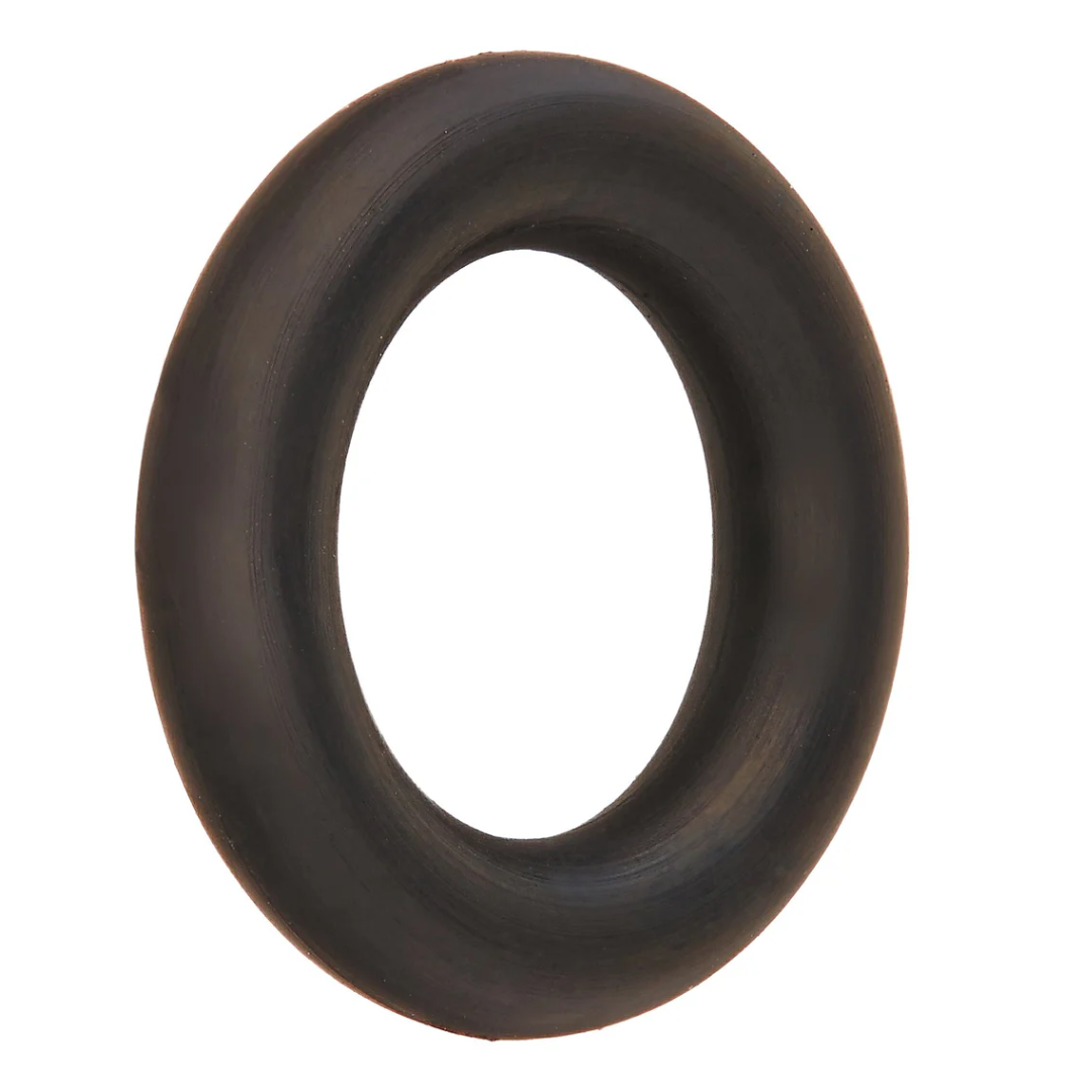 Pentair Orng #2-109 Bleeder Ptfe Coated Oring 2-109 Air Bleeder Screw For Tr100C & Tr140C Pentair | 273513