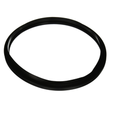 Hayward Star-Clear Filter Gasket | CX250F