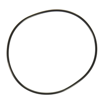 Hayward Cover O-Ring | SPX0710Z3
