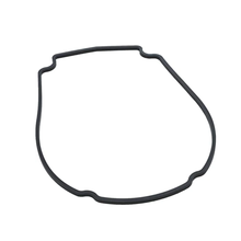 Waterway Pump Faceplate Gasket | 806-1400