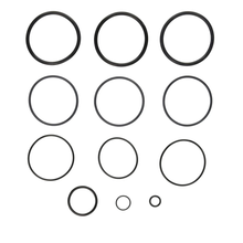 Jandy Pro Series O-Ring Kit Filter | R0358000