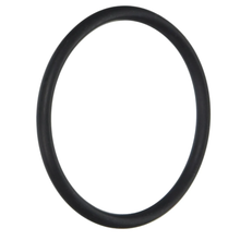 Pentair HiLite O-Ring | 79207100