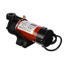 Waterway Plastics 806105066152 3312620-14 Tiny Might Circulating 230V