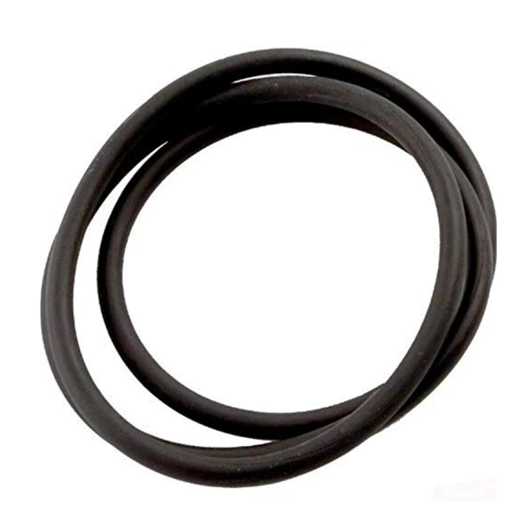 Jandy Pro Series O-Ring, Tank Top Cs | R0462700