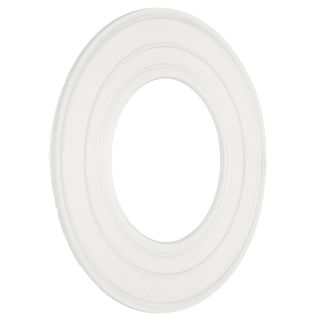 Pentair Gasket Aqlmntr | 79116800