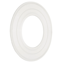 Pentair Gasket Aqlmntr | 79116800