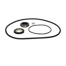 Hayward Internal Seal Kit | HCXP6004A