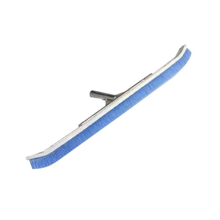 Pentair #905 24" Curved Brush | R111342