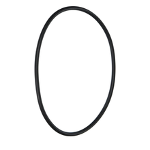 Hayward CX120D Tank O-Ring | CX120D