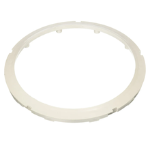 Pentair AquaLumin White Face Ring w/ Insert | 78880400