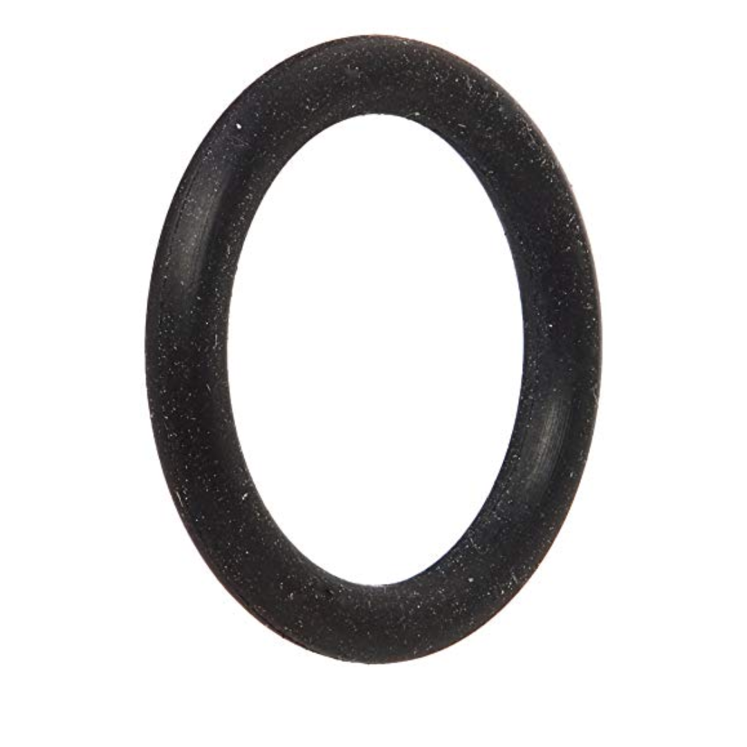 Hayward O- Ring | SX200Z5