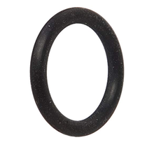 Hayward O- Ring | SX200Z5
