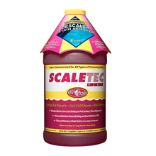 Easy Care Scaletec Plus Calcium Pool Descaler