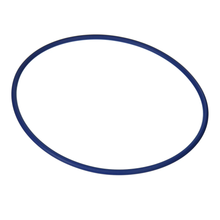 Hayward Valve/ Tank O-Ring | GMX600F