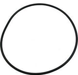 Waterway Plastics 806105129697 Discharge Pool & Spa Pump Volute O Ring Face Plate
