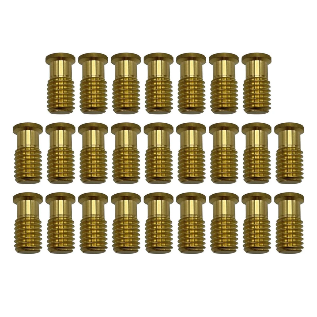 Poolzilla Threaded Brass Screw for Anchor