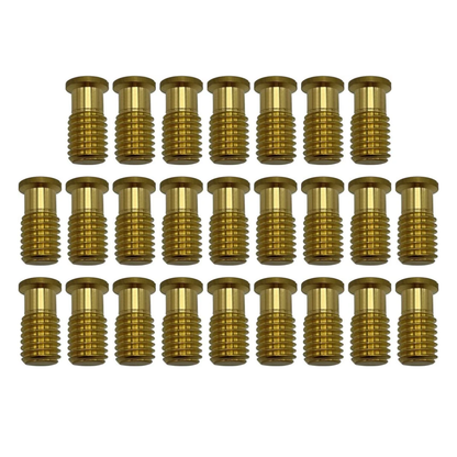 Poolzilla Threaded Brass Screw for Anchor