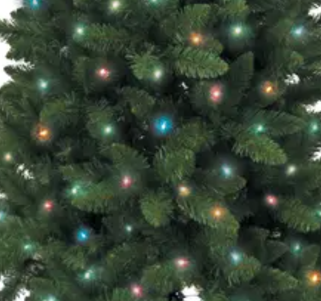 Kurt S. Adler 6' Pre-Lit Multicolored Incandescent Point Pine Tree
