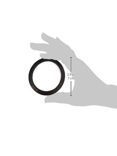 Jandy Pro Series Flange Gasket, 2