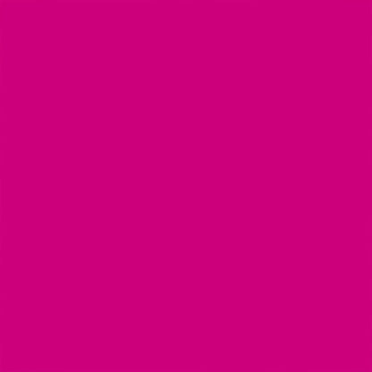 TRC Recreation Super Soft Child Size Small Life Jacket USCG Approved Vinyl Coated Foam Swim Vest for Kids Swimming Pool and Beach Gear, Flamingo Pink