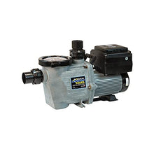 Waterway Power Defender 165 Variable Speed Pool Pump 1.65 HP, 115/230V PD-165