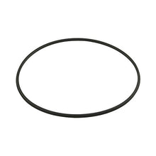 Hayward Seal,Filter,Metal Reinforced | DEX2422Z2