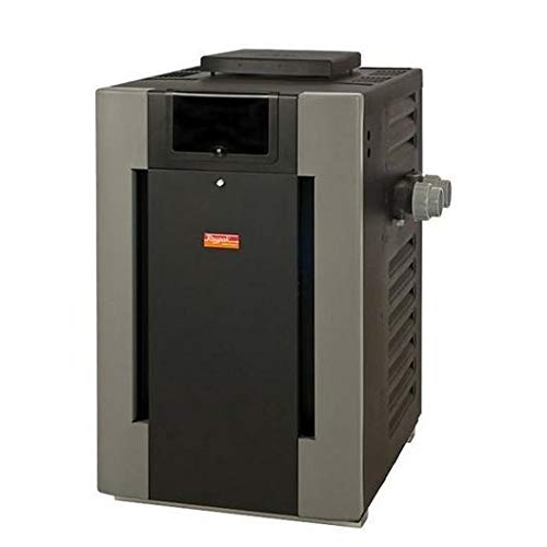 Raypak Digital Cast Iron ASME Natural Gas 200,000 BTU Pool Heater 017371