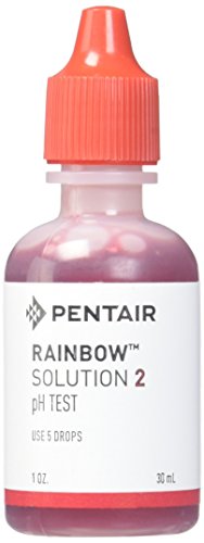 Pentair Solution #2 1 Ounce | R161178