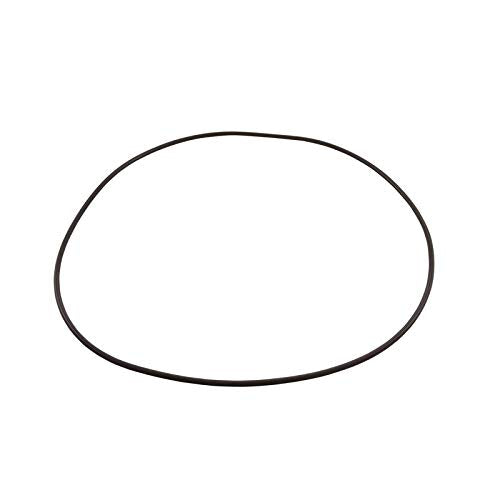 Waterway Plastics 805-0460 Clearwater Ii Lid O-Ring