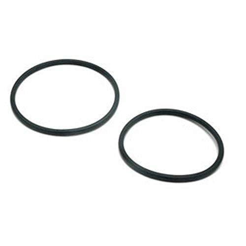 Hayward O-Ring Kit -Set Of 2- | DEX2420Z8A