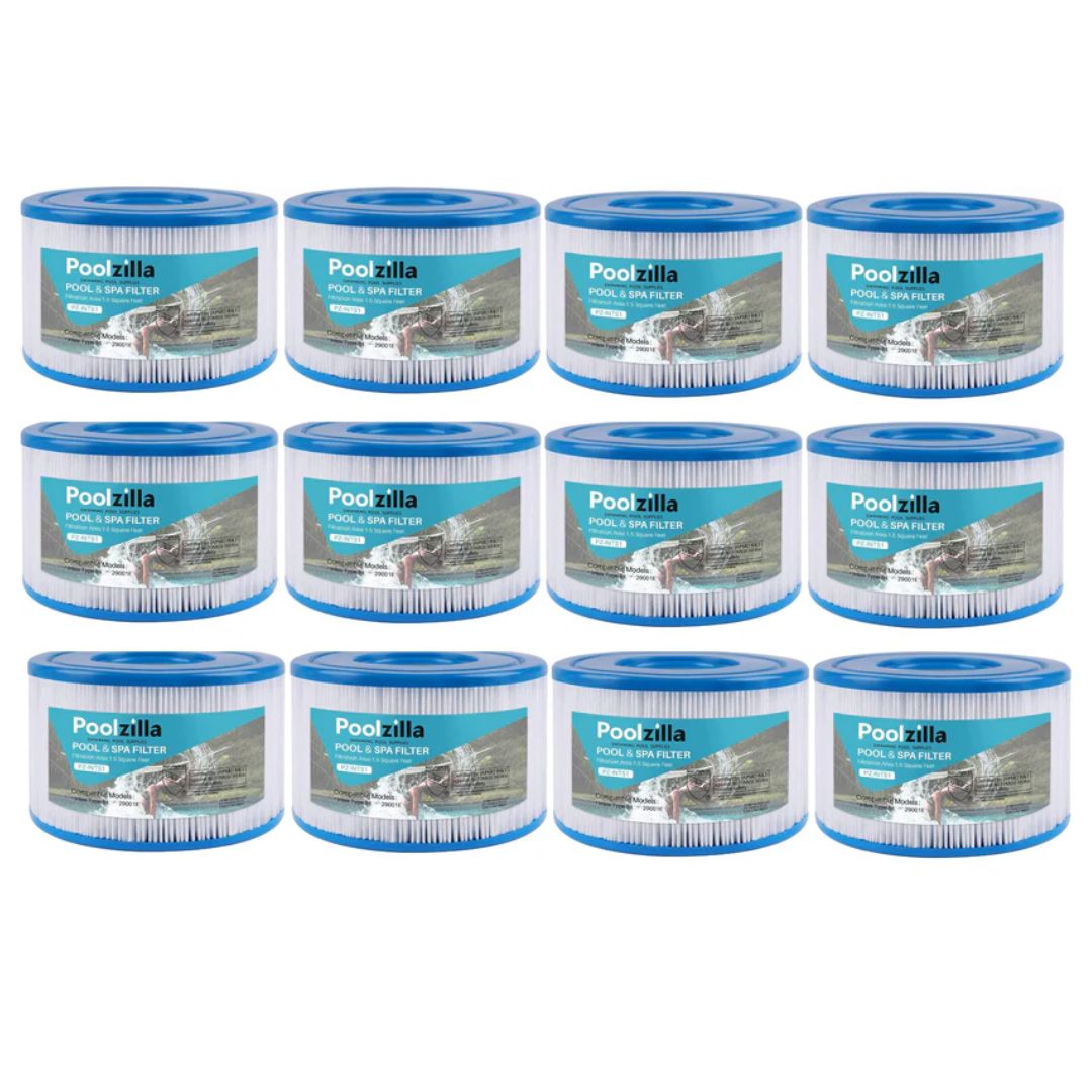 Poolzilla Replacement Easy Set Pool Filter for PureSpa Type S1, 29001E