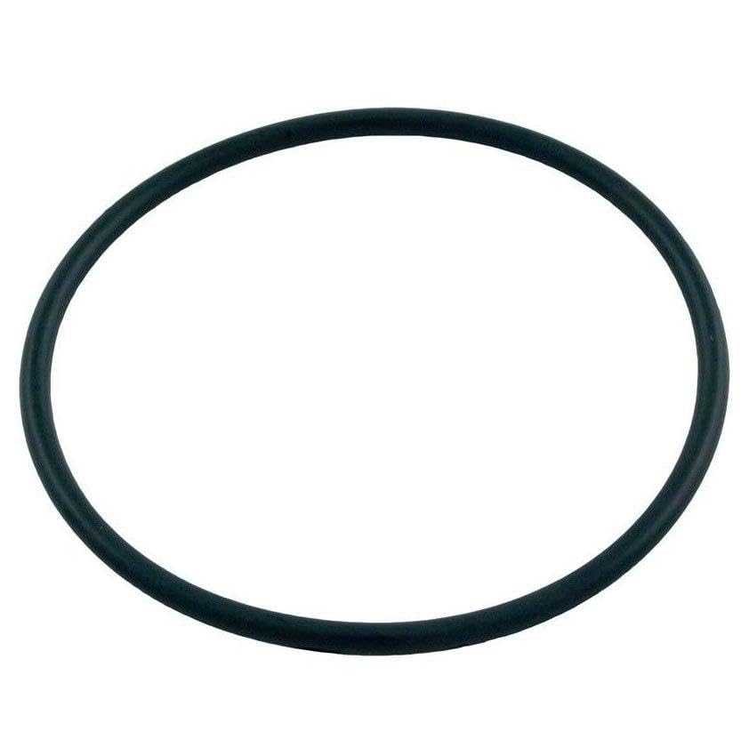 Waterway Crystal Water Cartridge Filter 2-1/2" Union O-Ring | 805-0232