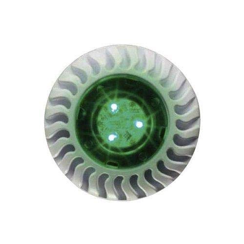 Pentair 2 GloBrite Color Kit 100' w/ 300W Transformer + 2 Vinyl Niches, 40 lbs | 620081